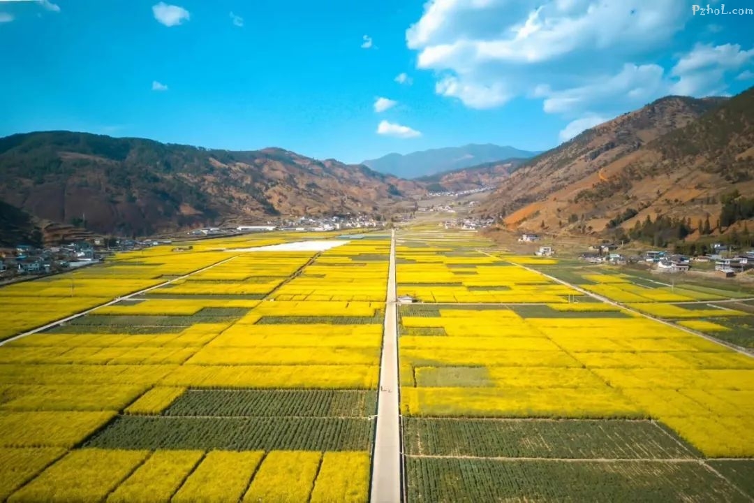 攀枝花最全赏花攻略在此....速速打卡