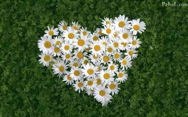 攀枝花最全赏花攻略在此....速速打卡