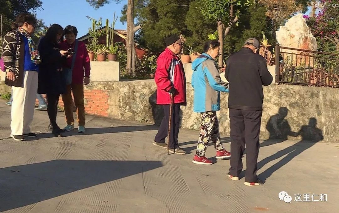 又到“候鸟”南飞时！是时候启程来仁和与阳光亲密接触了……