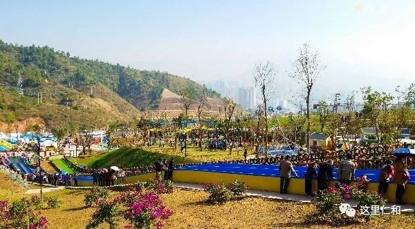 又到“候鸟”南飞时！是时候启程来仁和与阳光亲密接触了……