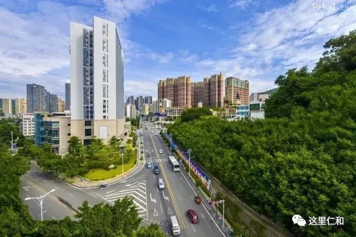 又到“候鸟”南飞时！是时候启程来仁和与阳光亲密接触了……