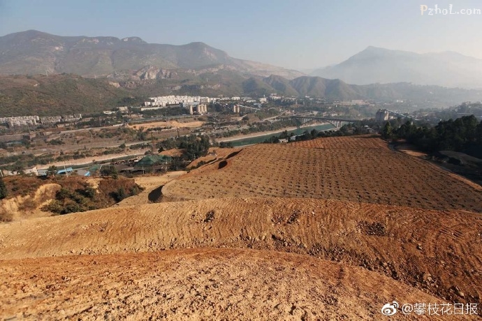灰槽子煤矸石山将被800余亩植被覆盖