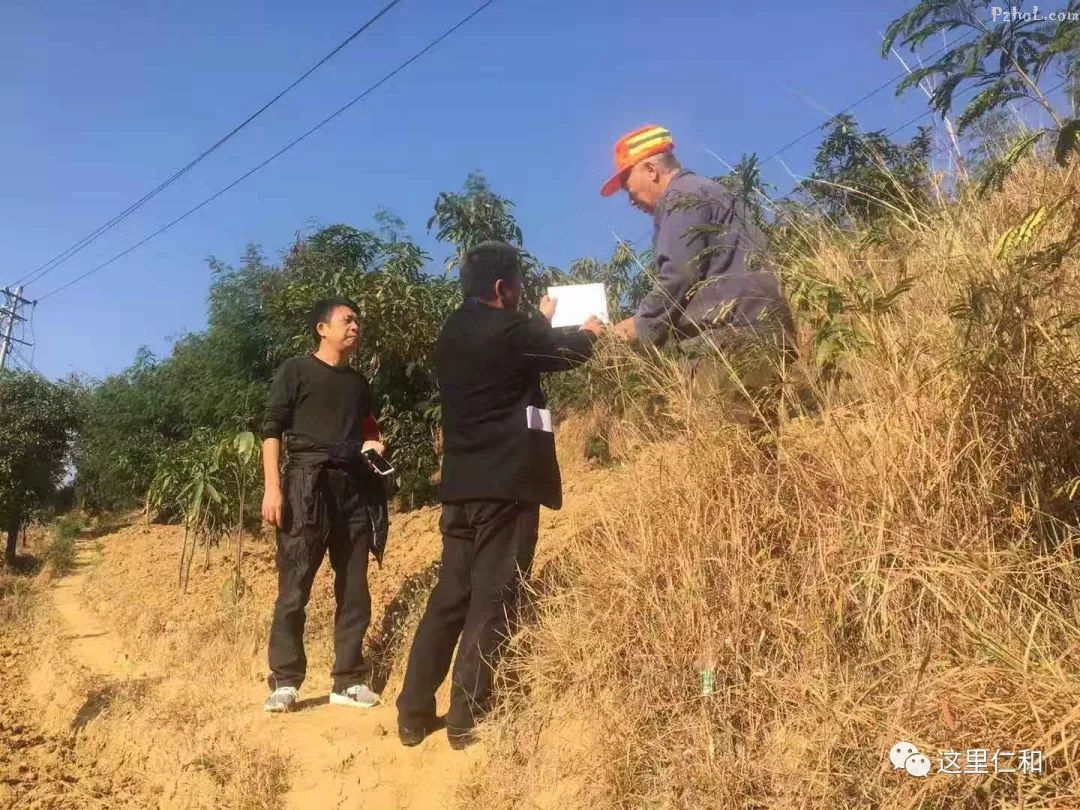 中央环保督查整改进行时 | 仁和镇刷新“颜值”提升“气质”