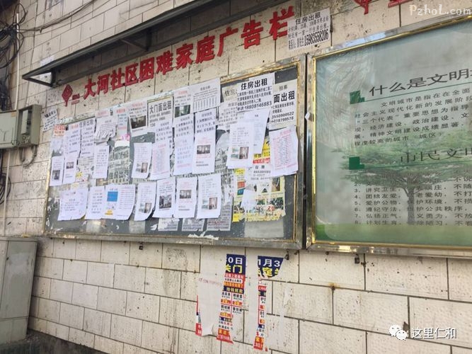 中央环保督查整改进行时 | 仁和镇刷新“颜值”提升“气质”