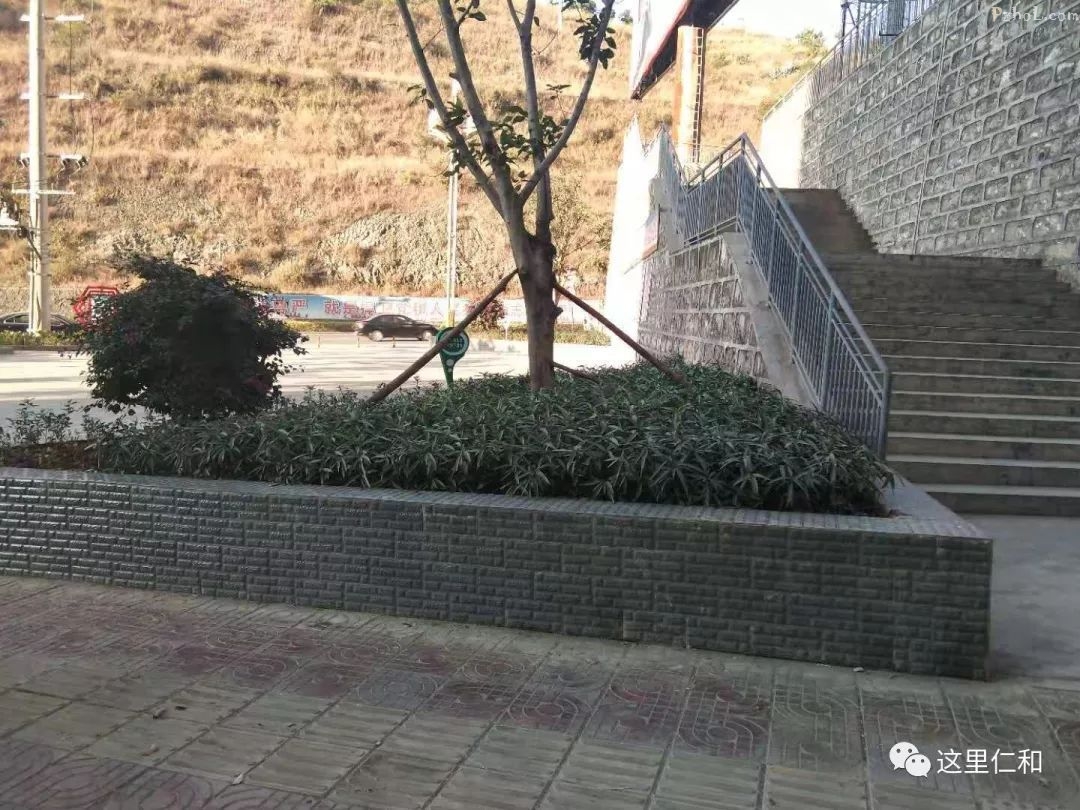 中央环保督查整改进行时 | 仁和镇刷新“颜值”提升“气质”