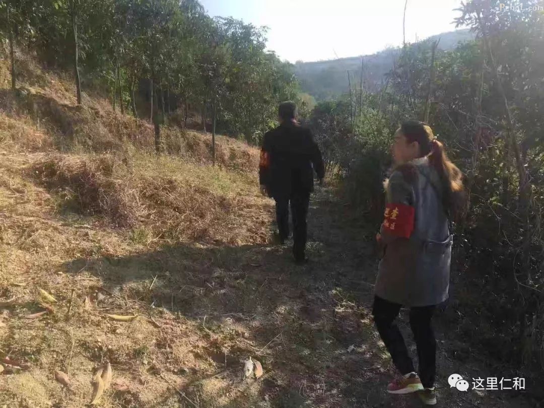 中央环保督查整改进行时 | 仁和镇刷新“颜值”提升“气质”