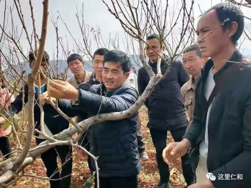 助力科技扶贫   这