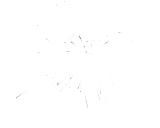 下个星期，这些“明星”要来攀枝花了，还要一大批好物等你带回家哟！