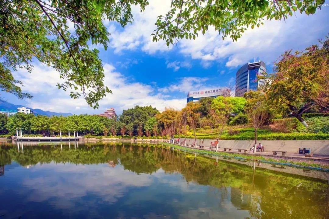 近6000万人收看！有关“英雄攀枝花”的这场直播火了