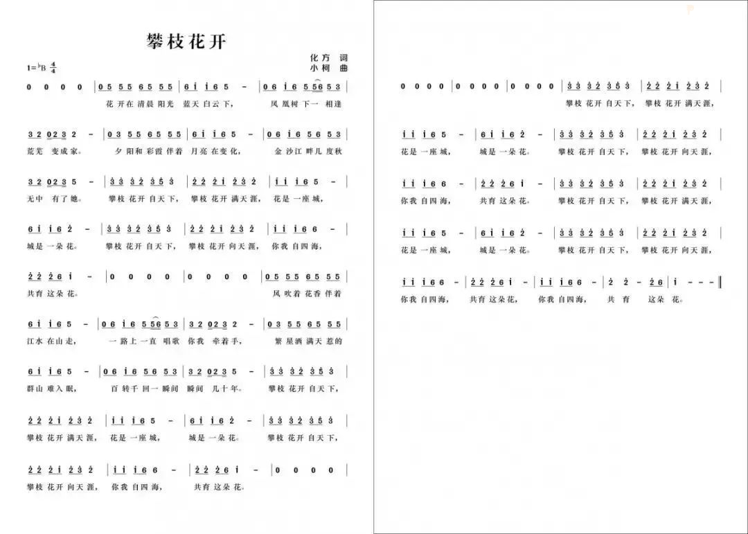 《攀枝花开》MV来啦！著名音乐人小柯唱响“英雄攀枝花”