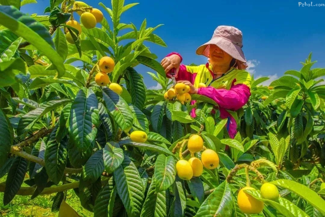 纪念改革开放40周年！《四川新闻》关注英雄攀枝花：绿色发展谱新篇