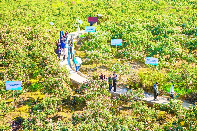 农文旅融合 再添乡村振兴新动力