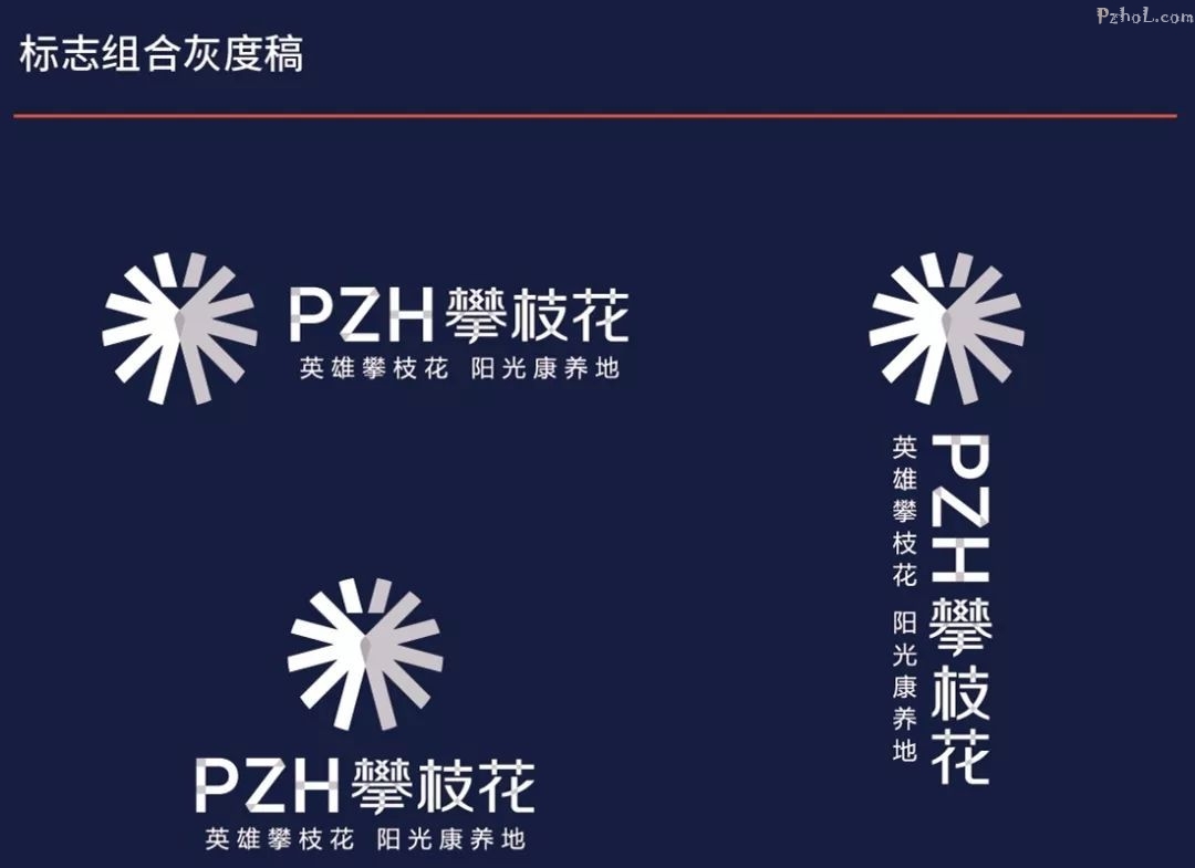 点赞我们的新市标!市标的正确用法你知道吗?