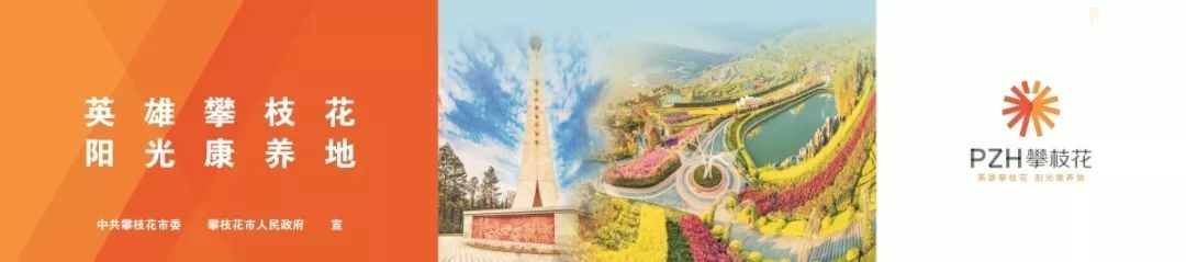 点赞我们的新市标!市标的正确用法你知道吗?