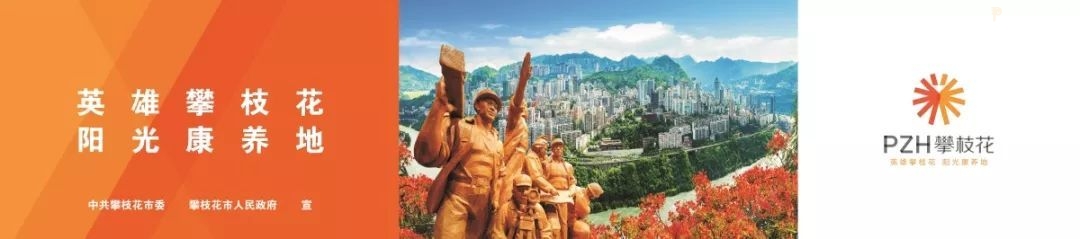 点赞我们的新市标!市标的正确用法你知道吗?