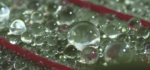 【轻松一刻】姐你看到啥了,表情如此浮夸