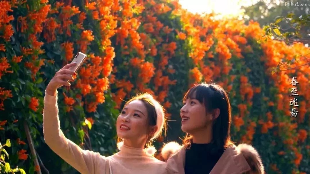 150秒超美视频！“三九”未过，攀枝花竟已春意满城！