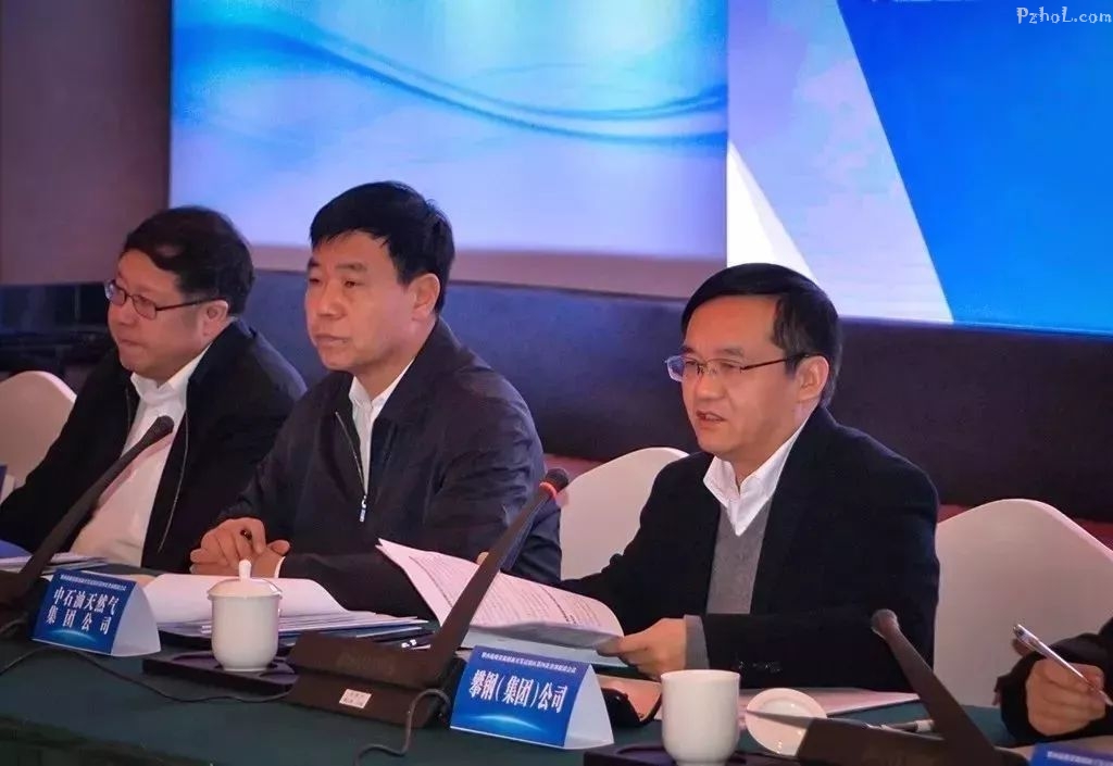 市“两会”上，代表委员怎么看攀钢？