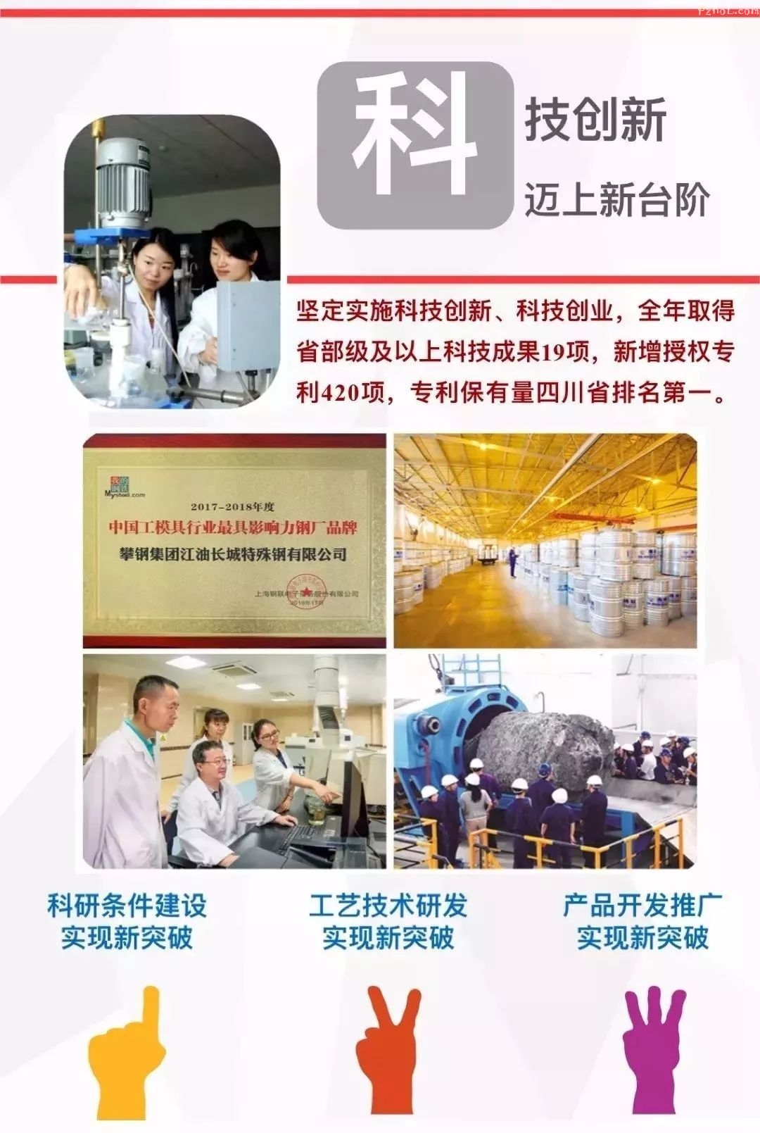 市“两会”上，代表委员怎么看攀钢？