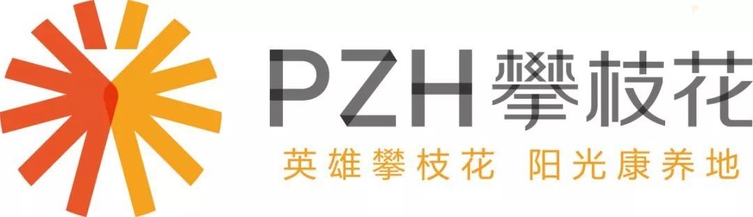 @攀枝花人：您有一封来自市委书记和市长的新春贺信，请查收！