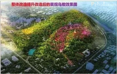 期待!今年9月,攀枝花公园将升级改造!改造后将变成这样.