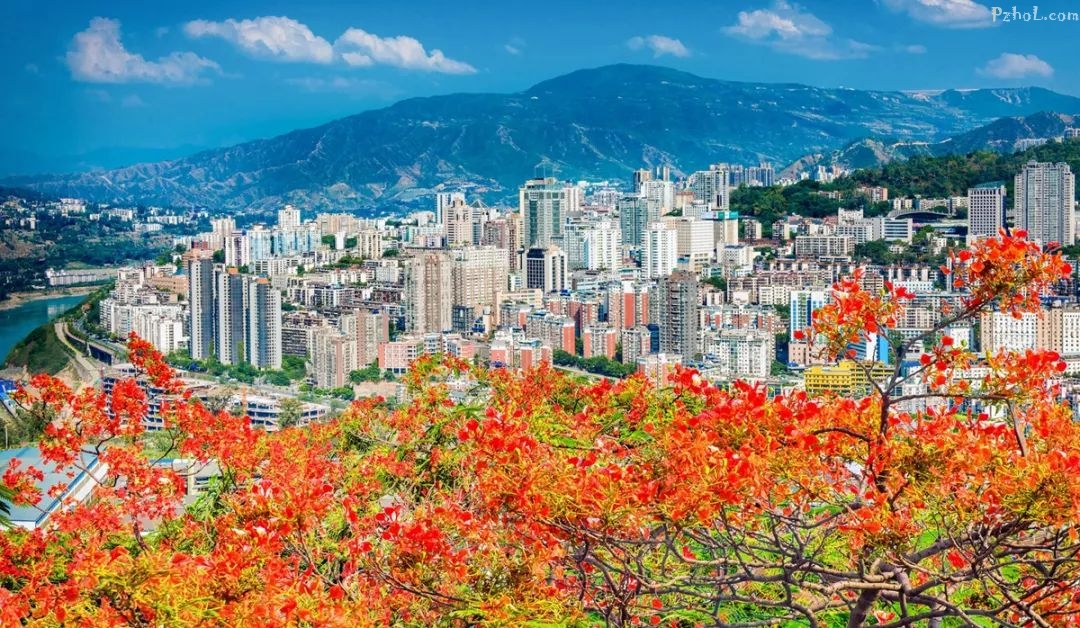 声音｜攀枝花城市文化