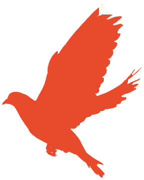国贸公司党委：政治优势→竞争优势