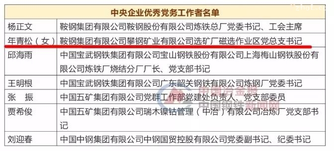 年青松，中央企业优秀党务工作者！