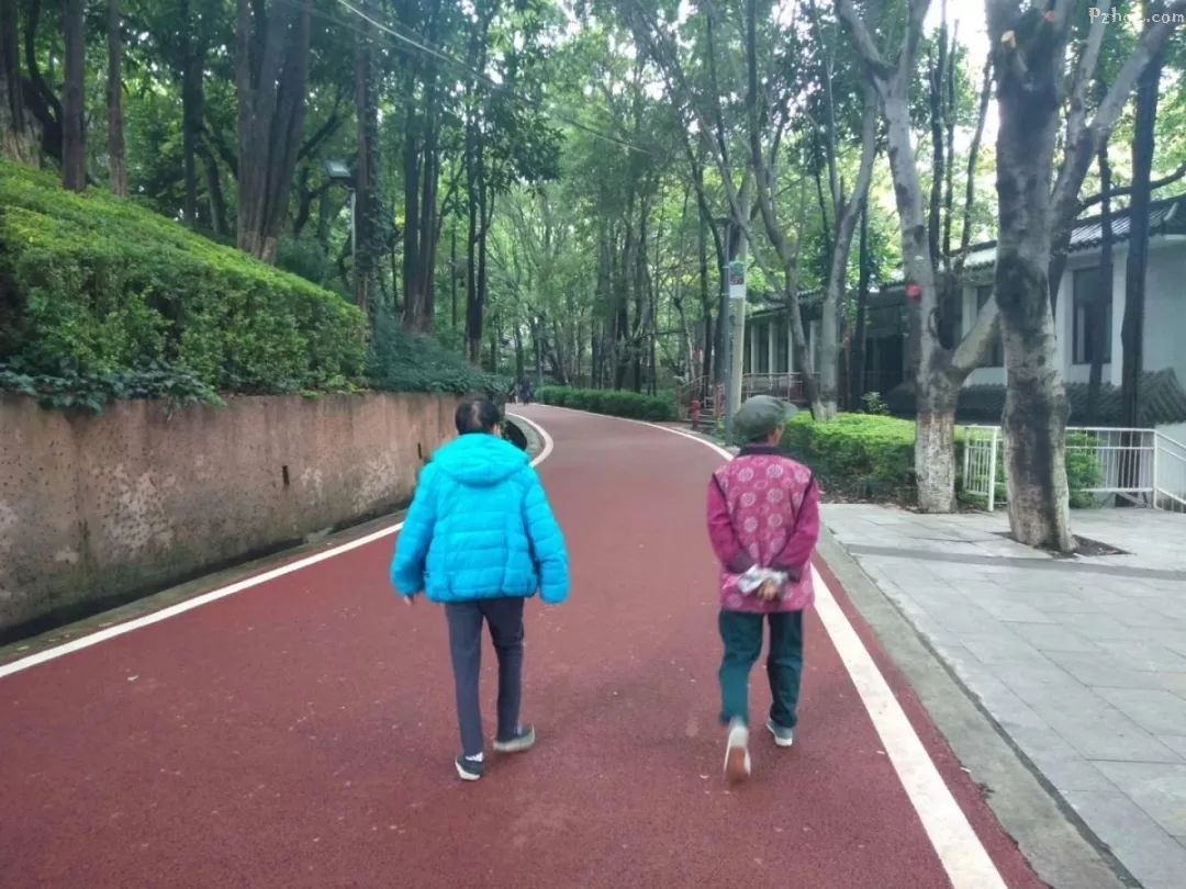 清凉雨季中的攀枝花公园是啥样的？跟着我们一起去探访吧