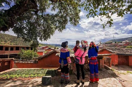 正值周末，来攀枝花这些避暑地觅清凉吧！