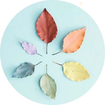 水果里的这种成分，吃进去就变肥肉，别再吃错啦！