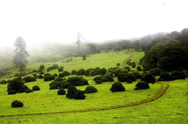 @攀枝花人 | 国庆节期间有雨吗？交通情况如何？这条信息请查收！