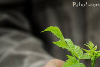 抗疫颂｜呵护生命的希望