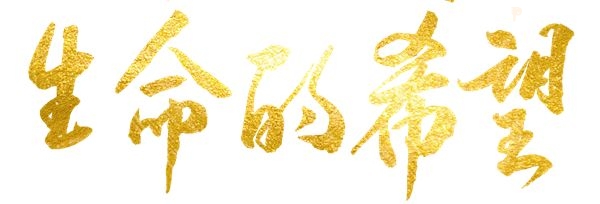 抗疫颂｜呵护生命的希望