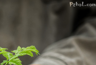 抗疫颂｜呵护生命的希望