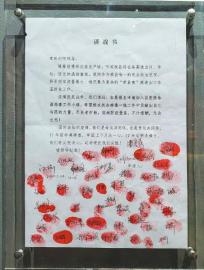 新闻中心 四川 正文摁满红指印的请战书,援鄂,援外医疗队队旗和抗疫