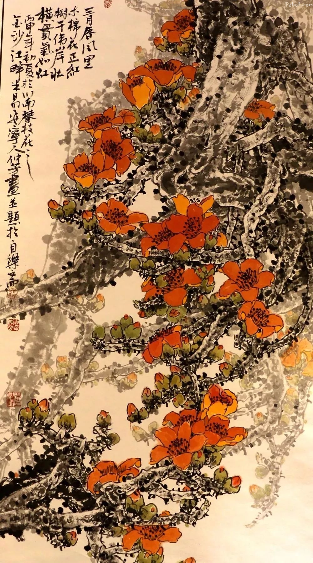 这几天,大家在攀枝花这个地方耍嗨啦