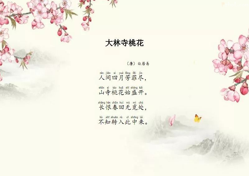 聆听经典大林寺桃花