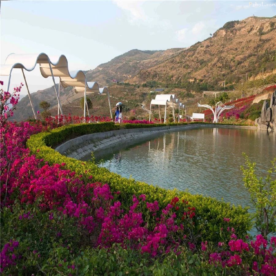 首届攀枝花花舞人间三角梅花语节开幕!