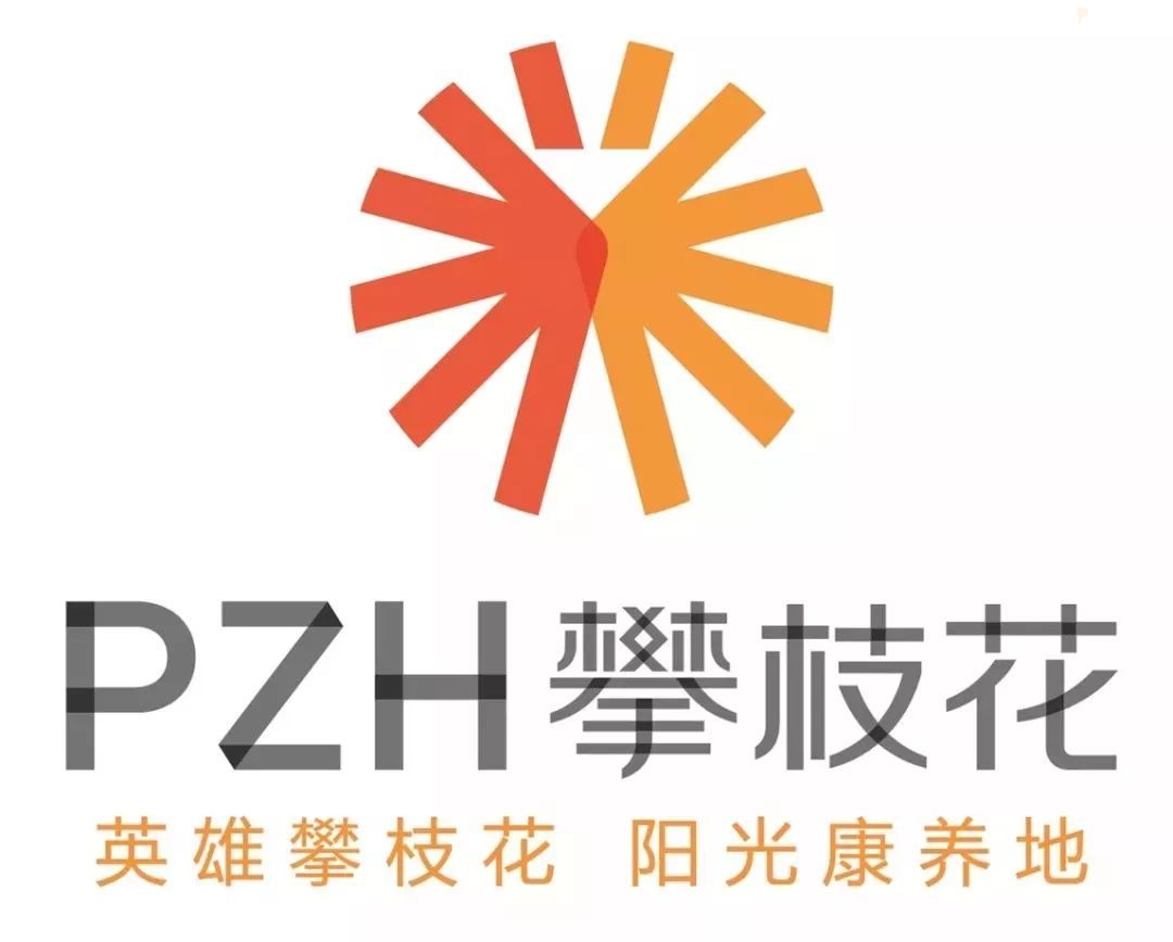 攀枝花 阳光康养地 发布会上,一个由鲜红色和橘黄色组成的明艳logo