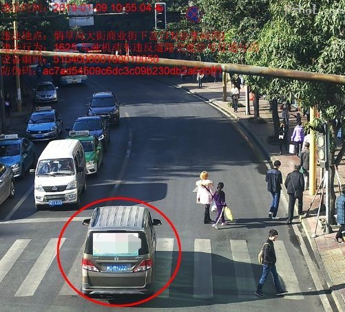 違法內容:駕駛機動車違反道路交通信號燈通行的 ●違法代碼:1625