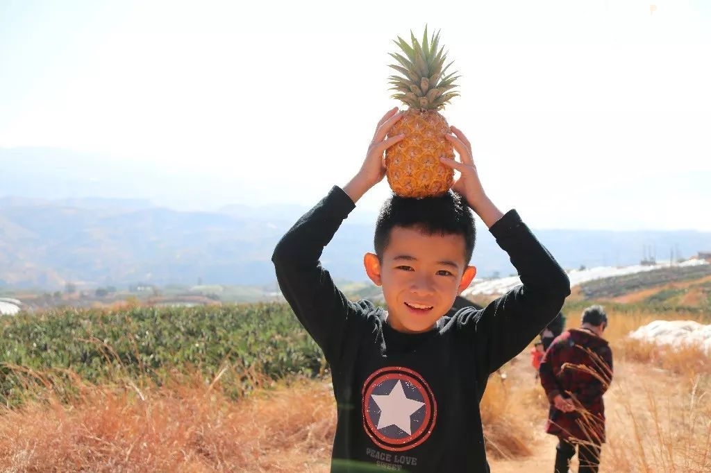 摘菠萝,吃杀猪饭,泡温泉,他们的周末好嗨.