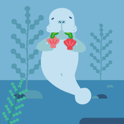 【品读园地】保护海洋,从现在做起!