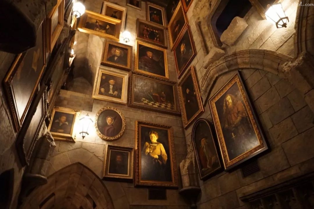 主播私房书丨张扬 -《哈利波特》系列