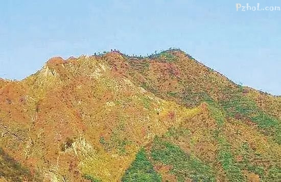 "造林禁区"变"城市绿肺",东区马坎大变样啦! - 攀枝花网