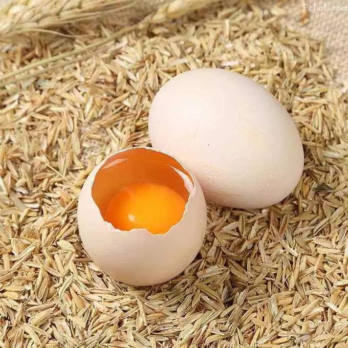 高山放养土鸡蛋