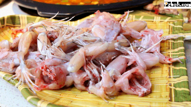 稻田蛙  蛙和鱼都有好几种 广西田鸡,四川稻田鸡,犁头拐(黄蛙),石蚌蛙