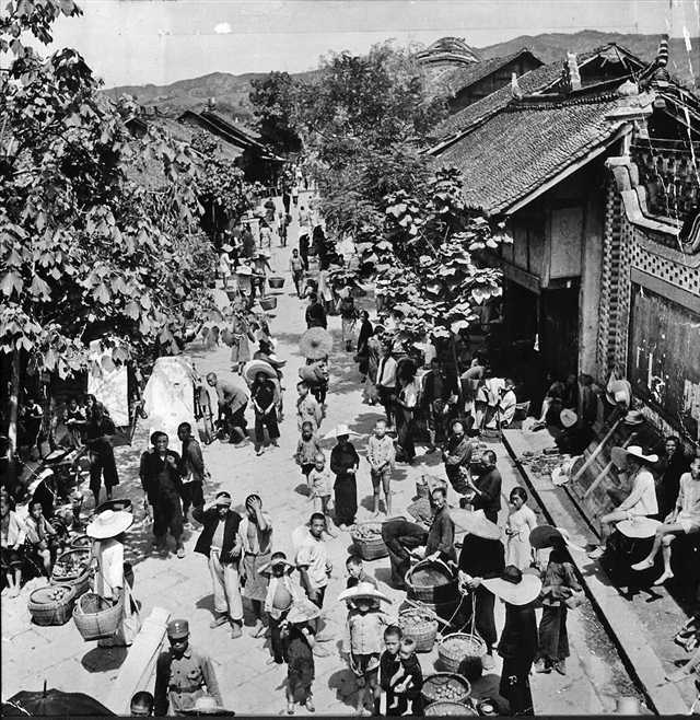风雨上龙泉 花重锦官城 古驿千年何处觅 蓉城今朝绽芳华