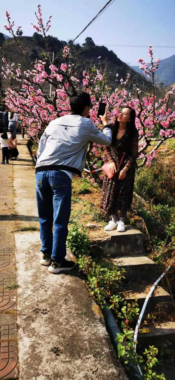 挤爆了！周末，一万余人前往务本赏花，你去了没？